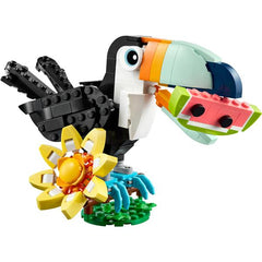 Animali selvatici: tucano tropicale