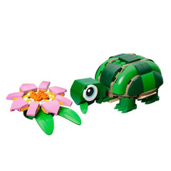 Tartaruga con fiore di ninfea