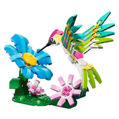Animali selvatici: colibrì variopinto