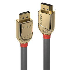 DP GOLD 3M