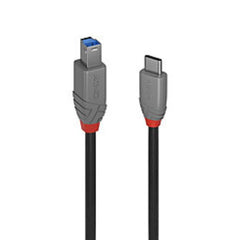 Cavo USB 3.2 Tipo C a B, 5Gbit/s, Anthra Line, 3m