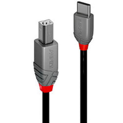 Cavo USB 2.0 Tipo C a B, Anthra Line, 1m