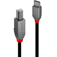 Cavo USB 2.0 Tipo C a B, Anthra Line, 3m