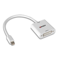 Convertitore da Mini Display Port a DVI