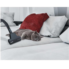 HOOVER TRAINO BR32PET 011