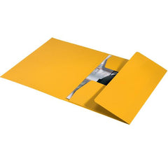 Leitz Recycle