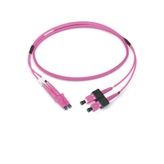 PATCH 2FO OM4 LCD/SCD 2M