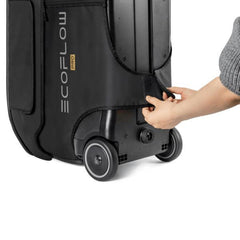 Borsa Delta Pro