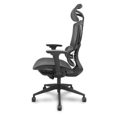 PRO537