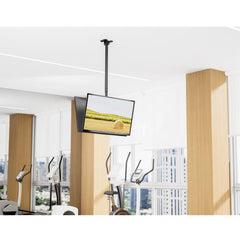 EQUIP - STAFFA DOPPIA TV DA SOFFITTO 43"-80" "BACK TO BACK"