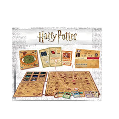 Harry Potter - un anno a Hogwarts