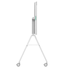 RALLY BOARD 65 CART