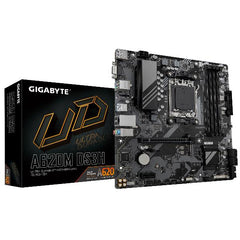 GIGABYTE - A620M DS3H