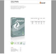 DOLPHIN EVERYDAY 80 GR - 300 RISME - CARTA A BANCALE IN CONSEGNA DIRETTA
