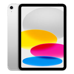 iPad Wi-Fi + Cellular 256GB - Argento