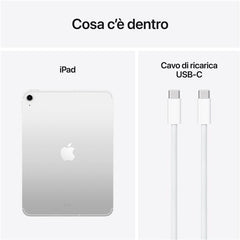 iPad Wi-Fi + Cellular 256GB - Argento