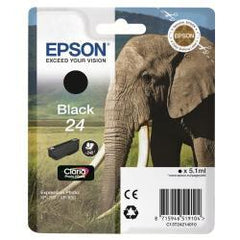 ELEFANTE 24