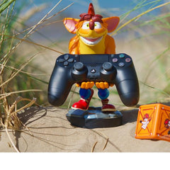 CRASH QUANTUM CABLE GUY