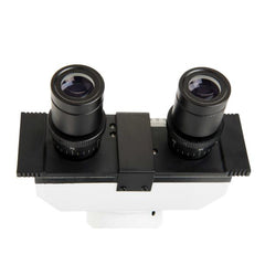 LABS CB2000-CF