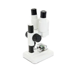 Labs S20