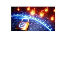CS-FIVAW-SG