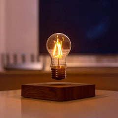 DP-LIGHT