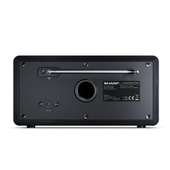 Radio digitale DR-450