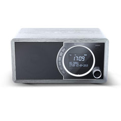 Radio digitale DR-450