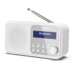 Radio Portatile Digitale Tokio