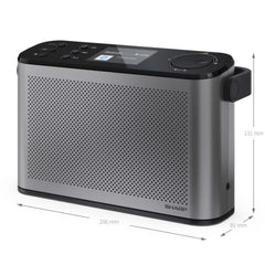 Radio Digitale Osaka DR-P540