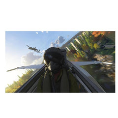 FLIGHT SIMULATOR