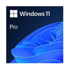Windows 11 Professional-OEM