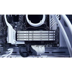 Kingston FURY Beast 32GB 6000MT/s DDR5 CL36 DIMM White EXPO