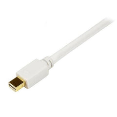 Cavo Mini DP a DVI da 1,8 m