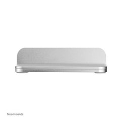 NSLS300SILVER