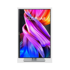 ASUS ProArt Display PA248CRVV