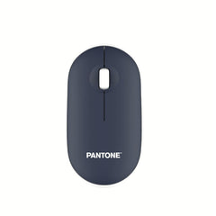 PANTONE - Borsa Sleeve per Laptop fino a 15.6" dimensione display con Mouse wireless in confezione [IT COLLECTION]