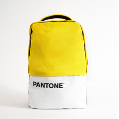 PANTONE - Zaino per Laptop fino a 15.6'' dimensione display, interfaccia USB per ricarica, tracolla regolabile [IT COLLECTION]