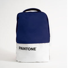 PANTONE - Zaino per Laptop fino a 15.6'' dimensione display, interfaccia USB per ricarica, tracolla regolabile [IT COLLECTION]