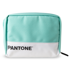 PANTONE - Custodia organizer porta accessori, cavi con pratiche tasche interne [IT COLLECTION]