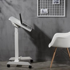 DINO MWS600