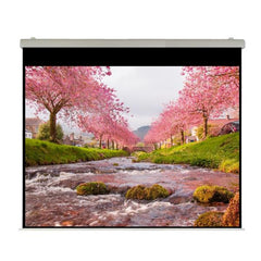 Elettrico 290x218 Professional