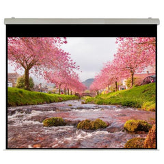 Elettrico 500x393 HT Rubin