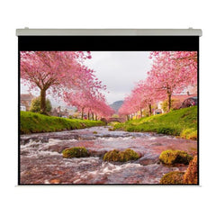 Elettrico 500x393 HT Rubin