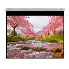 Elettrico 500x393 HT Rubin