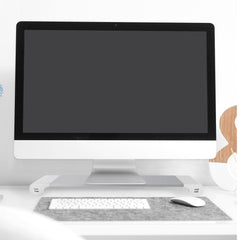SWDESKHUB - Supporto per monitor con funzionalità power station, 4 porte USB-A, potenza massima 12 watt, lunghezza cavo alimentazione 1.5 mt, presa europea