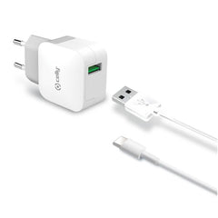 TCUSBTYPEC - 12W USB-A Wall Charger+USB-A to USB-C Cable [TURBO]