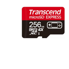 TS256GUSD710S