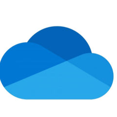 ONEDRIVE FOR BUSINESS (PLAN 1)