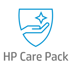 Care Pack 3 anni Onsite NBD + DMR (per Desktop)